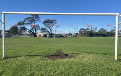 Football clubs launch campaign for more synthetic fields in the Illawarra