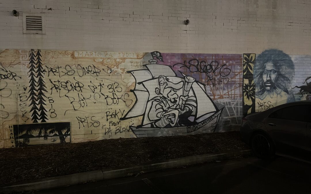 Canterbury-Bankstown City Council Begins to Combat Graffiti with Government Program