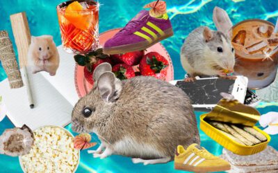 Rat infestation warning: girls are snacking and scurrying their way into summer