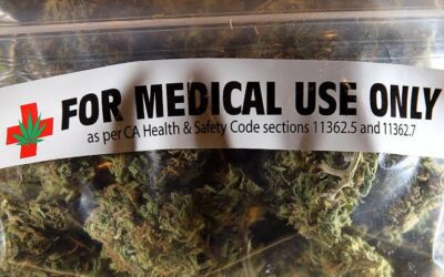Could medical cannabis be the future of medicine?